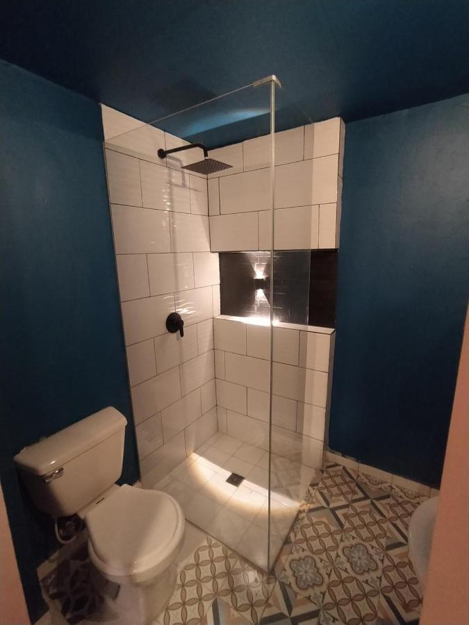Casa Primavera Hostal ميديلين المظهر الخارجي الصورة