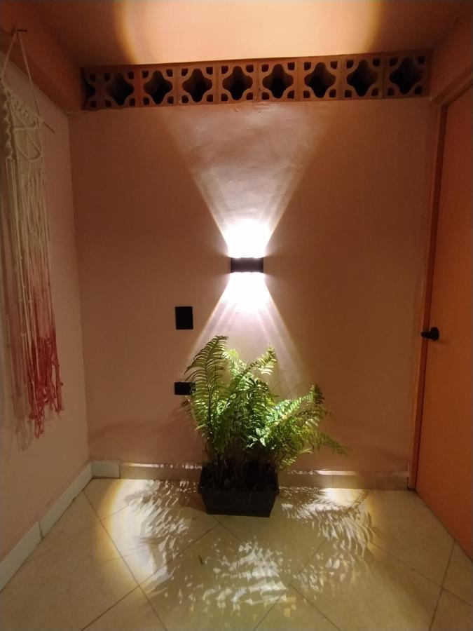 Casa Primavera Hostal ميديلين المظهر الخارجي الصورة