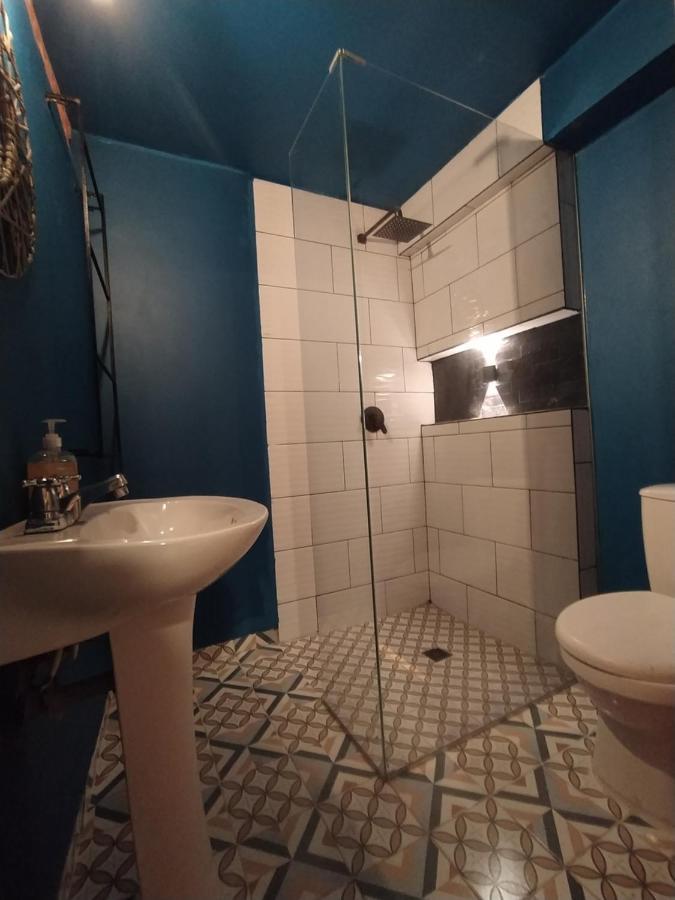 Casa Primavera Hostal ميديلين المظهر الخارجي الصورة