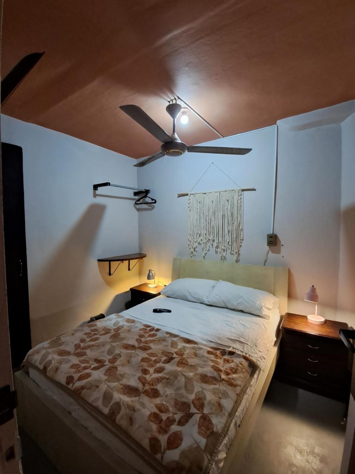 Casa Primavera Hostal ميديلين المظهر الخارجي الصورة